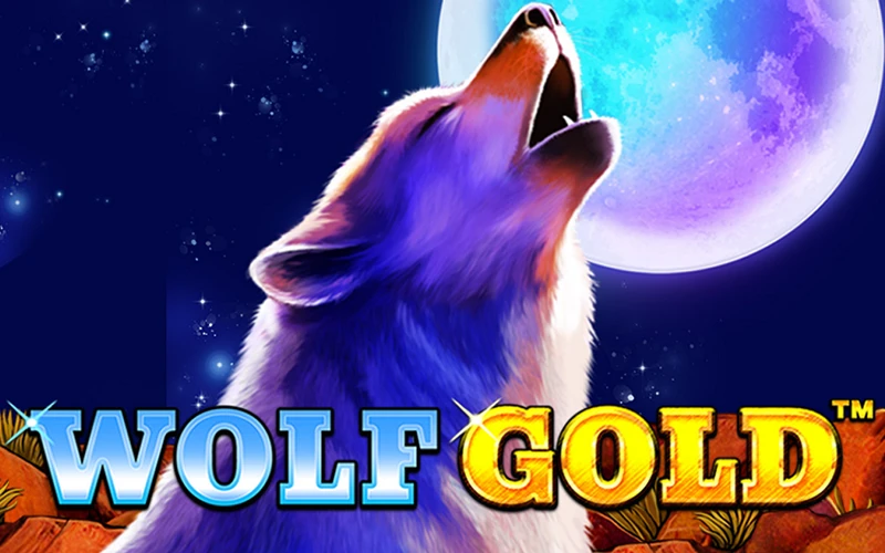 1win 카지노의 Wolf Gold 슬롯에서 적극적인 플레이어가 되어보세요.